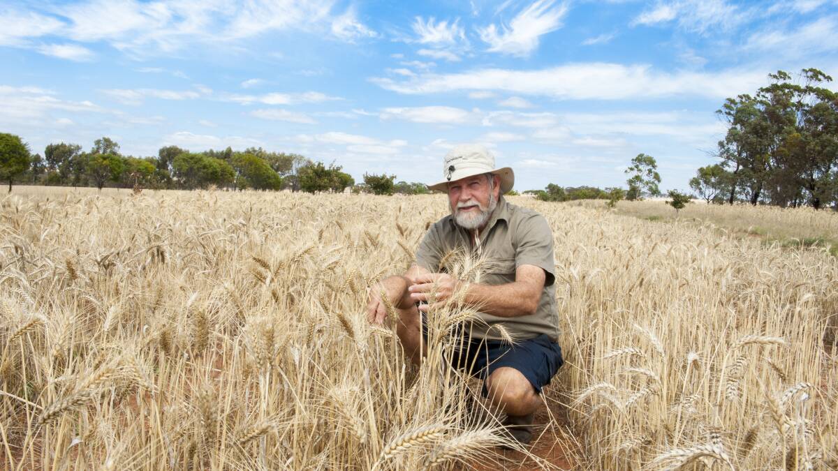 David Bowran will host 'Strategies towards carbon neutral for the WA grain industry' at the GRDC Grain Research Updates this month.