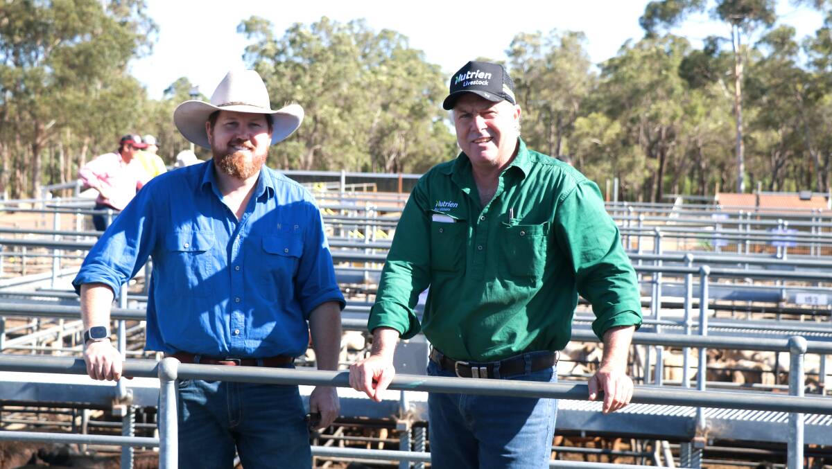 Mike Sinclair (left), Roslyn Farms, Waroona, caught up with Nutrien Livestock, Waroona agent Richard Pollock at the Boyanup weaner sale last week where Mr Pollock was again one of the dominant buyers.