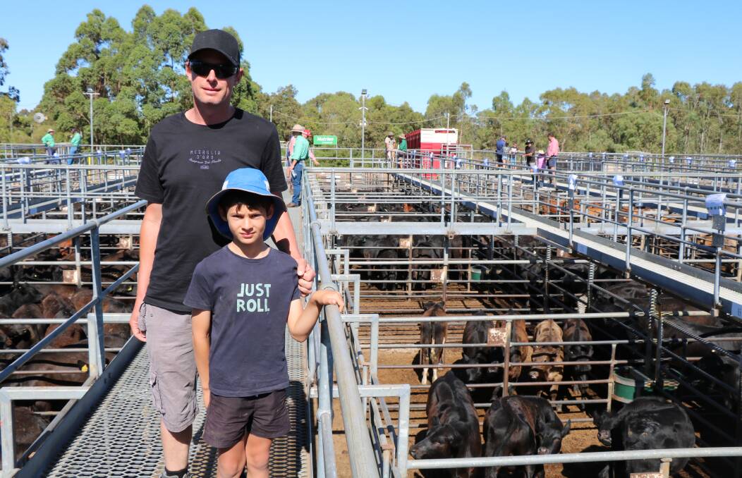 Mark Zappia, Harvey, with son Brayden was looking for a few lightweight calves for his property.