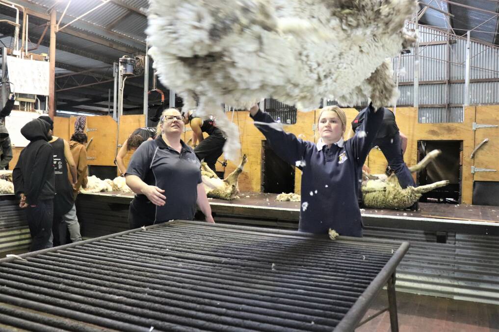 Brooke Kenny, 18, tosses a fleece on the table in her parents' and grandparents' shearing shed. The Kenny family hosted the latest shearing and wool handling school. On a gap year before university Ms Kenny decided to learn about wool handling so she could be more useful at the annual Rubicon farm shearing.