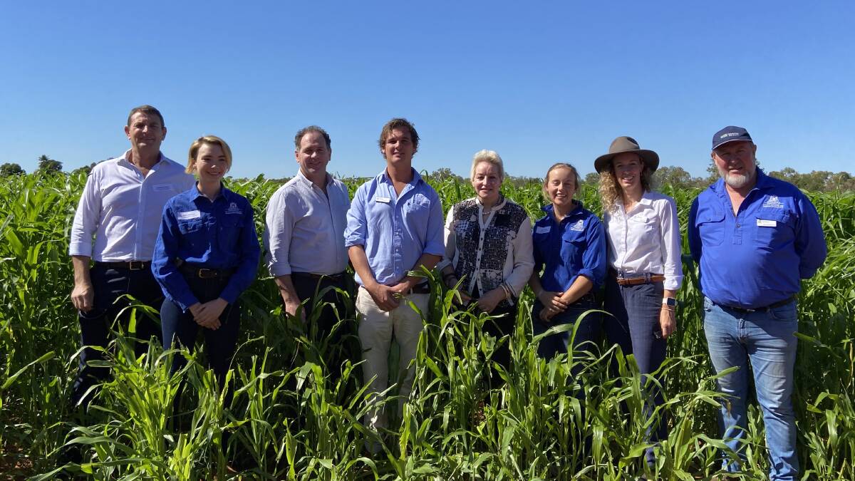 DPIRD's newly appointed director of northern agricultural development Gordon Verrall (left), development officer Rachel Darwin, director general Ralph Addis, development officer Samuel Crouch, Agriculture and Food Minister Alannah MacTiernan, technical officer Emma Moss, principal policy officer Ellen Smith and senior development officer Chris Ham at irrigated fodder production trials at Skuthorpe near Broome.