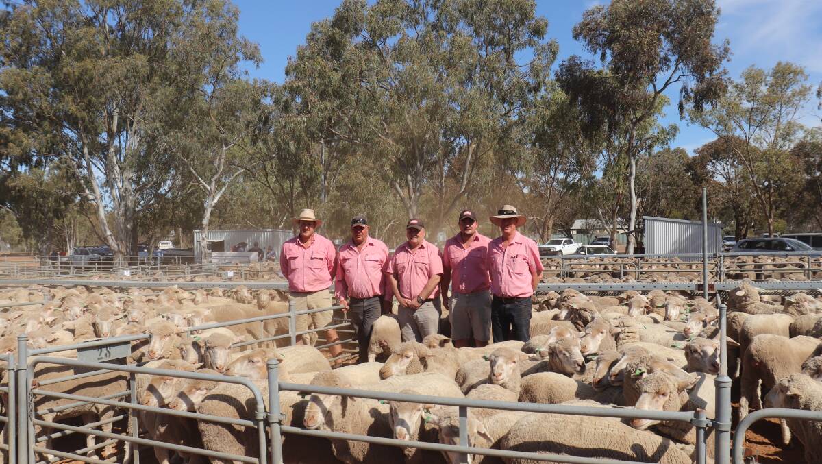 Paul Keppell (left), Elders Narrogin, Graeme Taylor, Elders agent Lake Grace, Greg Penney, branch manager Lake Grace, Ken Penney, Elders farm sales Lake Grace and Jeff Brown, Elders Wickepin with the $252 top price line of 289 August shorn East Mundalla blood 1.5yo ewes offered by EDL Farms in the Wickepin portion of the Elders circuit sale.
