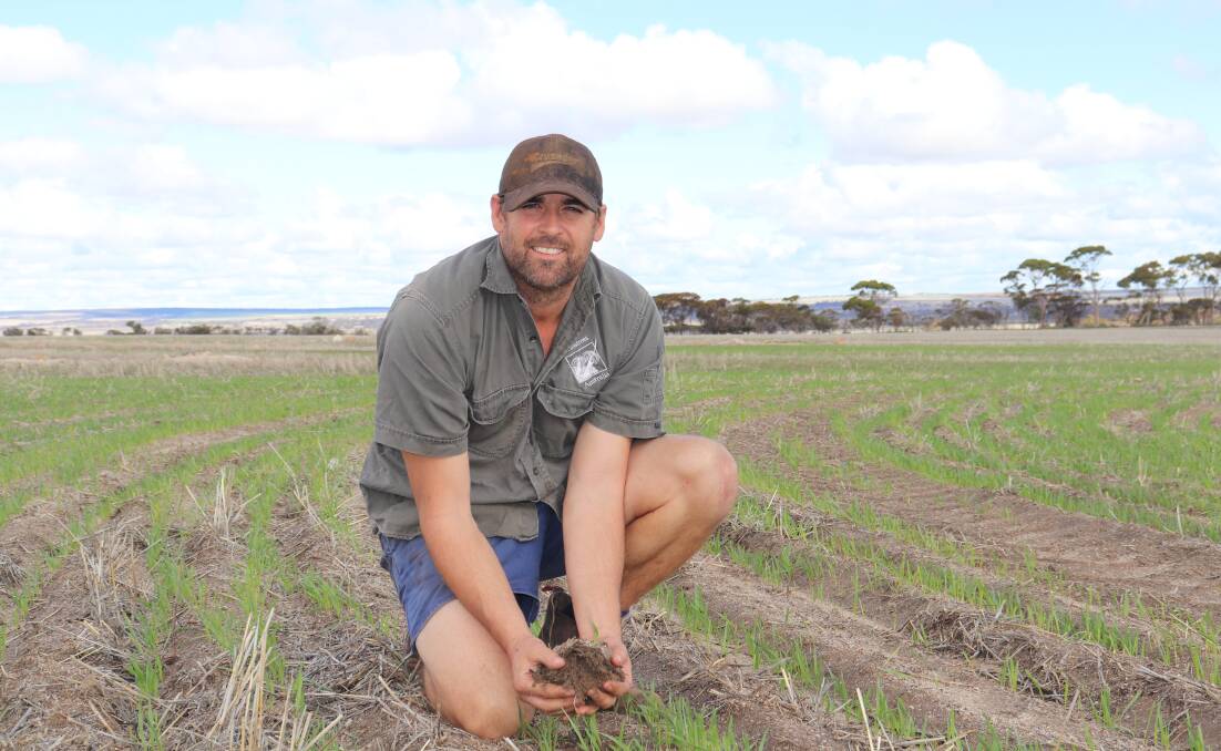 Dennis Gittos bought his 2800 hectare broadacre cropping farm, Minni Downs, in late 2019.