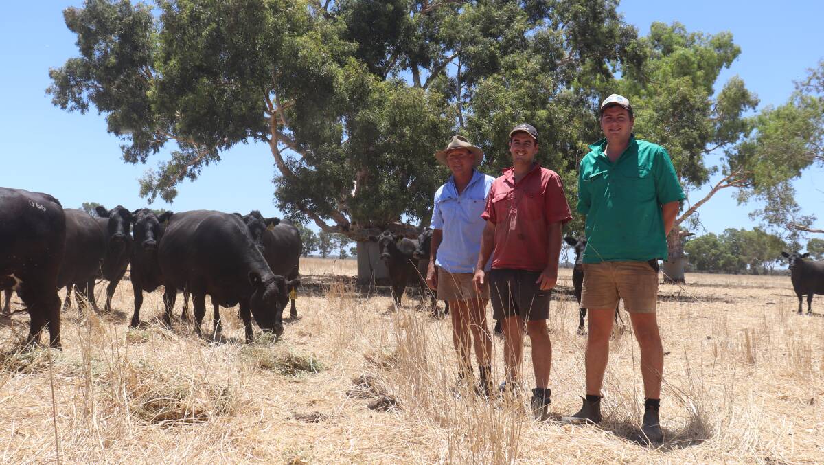David Roe (left), with his sons Lewis and Fred at their Beermullah-based farm, Benalong. Picture Kyah Peeti.
