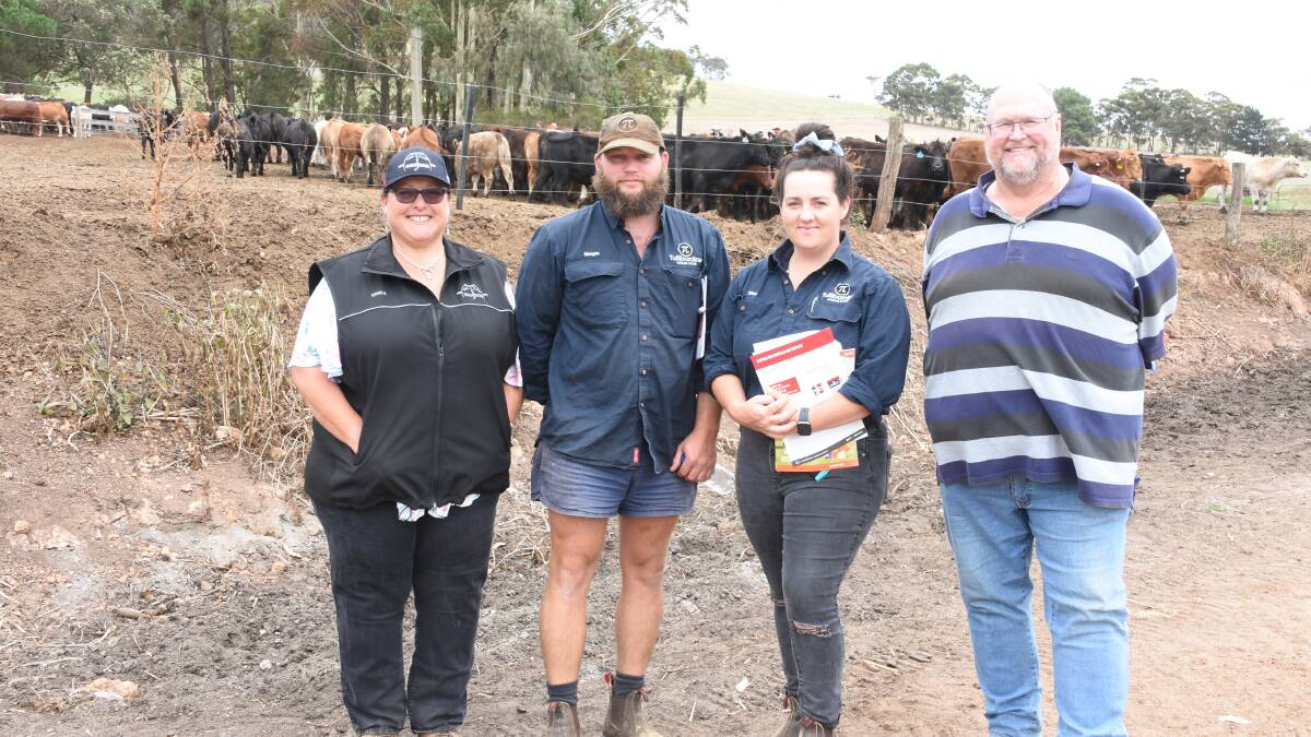Looking over the cattle in the challenge were Harvey Beef Gate 2 Plate Challenge committee member and the days MC Erika Henderson (left), Morgan Gilmour and Eliza Bradfield, Tullibardine Angus stud, Albany and Ben Henderson, Napier.