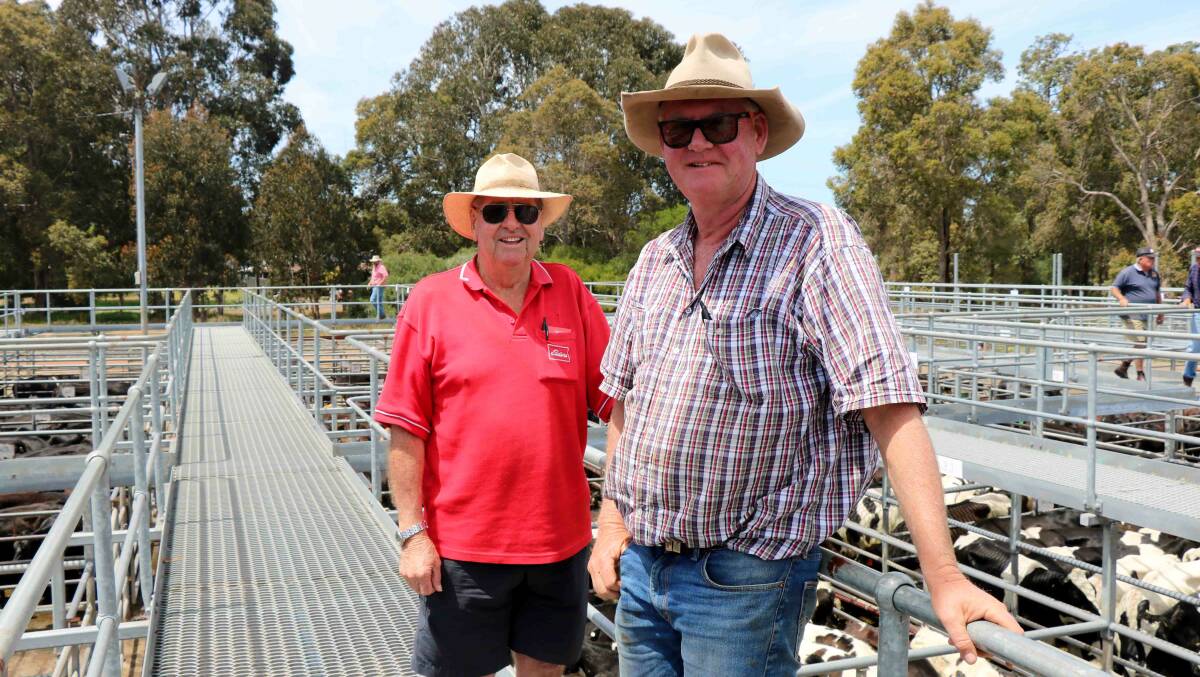 Terry Tarbotton (left), Elders Nannup, with Kevin Armstrong, Willowbank, Benger, before the sale.