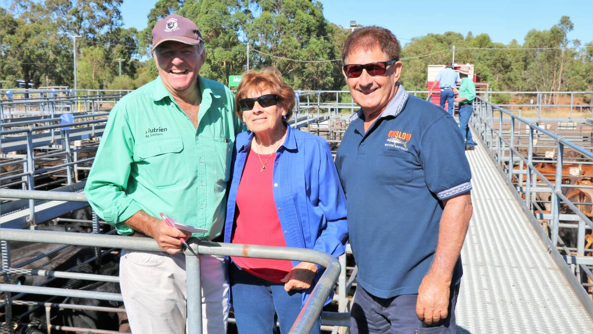 Nutrien Livestock, Harvey/Brunswick agent Errol Gardiner (left) was on the rail before the WALSA weaner sale at Boyanup last week with Minnie and Rob Italiano, Harvey. The Italianos sold calves for up to $1653.