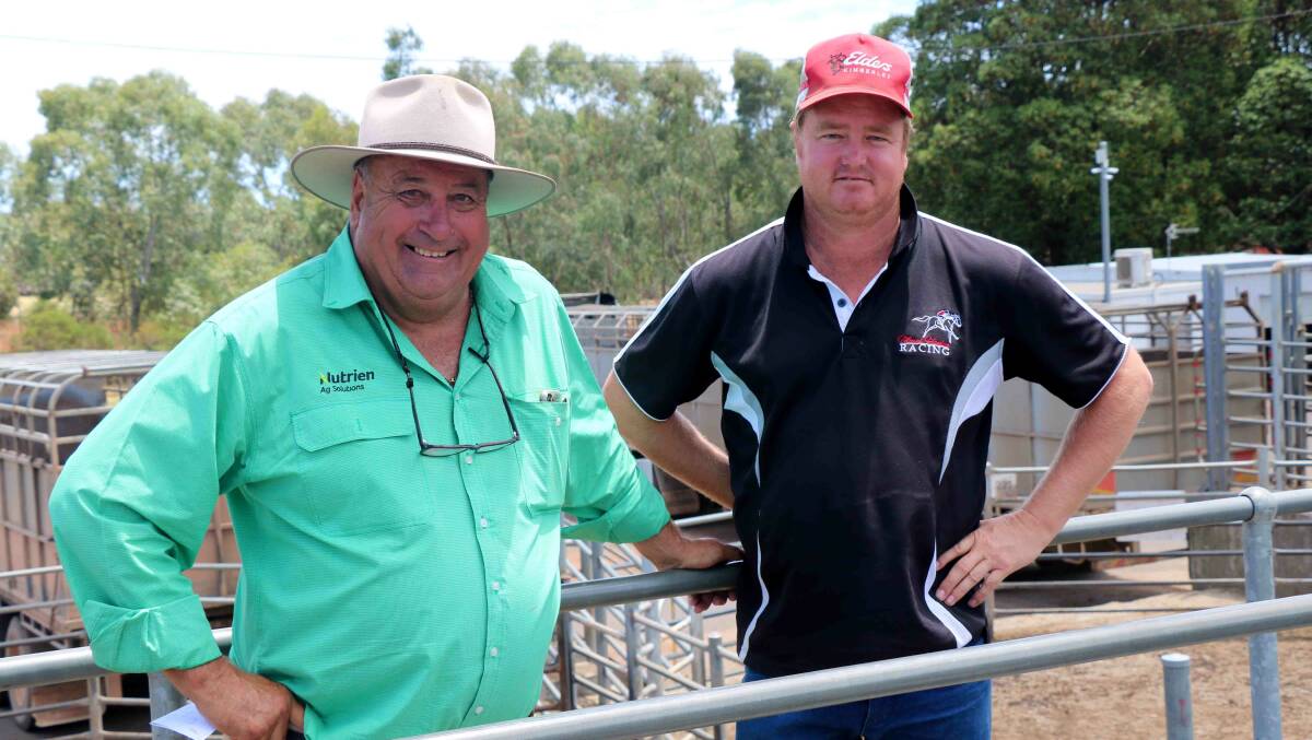 Nutrien Livestock, South West manager Peter Storch (left) caught up with Jamie Davies, Kalgrains, Wannamal, before last week's Nutrien Livestock Boyanup store sale.