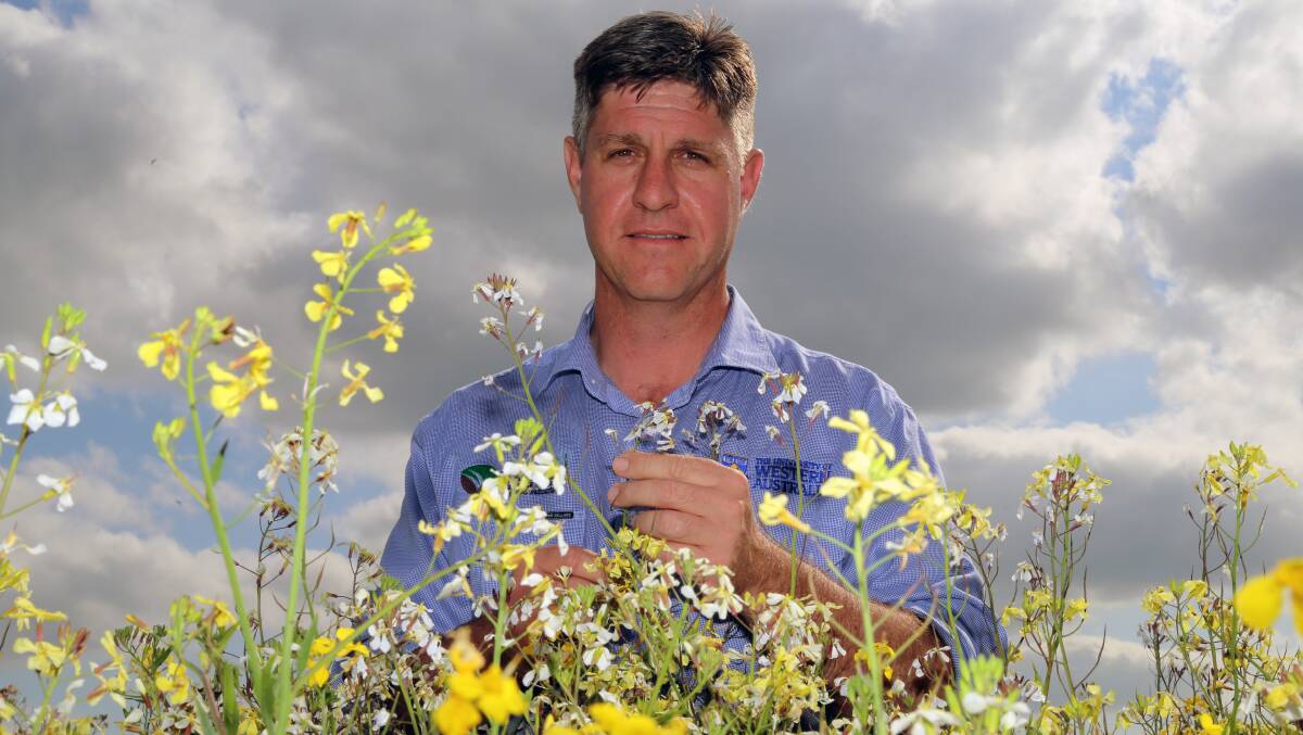 AHRI research agronomist Mike Ashworth will share results from a GRDC investment investigating different combinations of cultural weed management tactics and herbicide choices. The field day will be held at Gibson, in the Esperance region, on Wednesday, October 6.