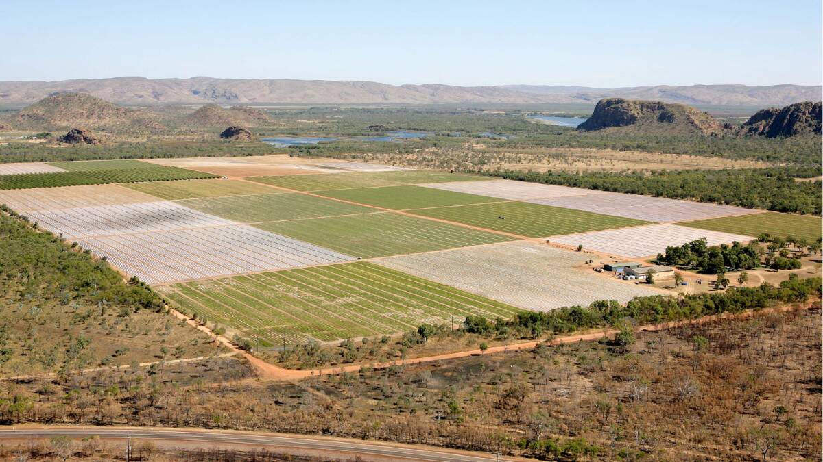 The northern regions have been more subdued, although horticulture-type properties at Kununurra are in demand for a different reason for the growing of fodder, cotton and other grains. Photo: Elders Real Estate.