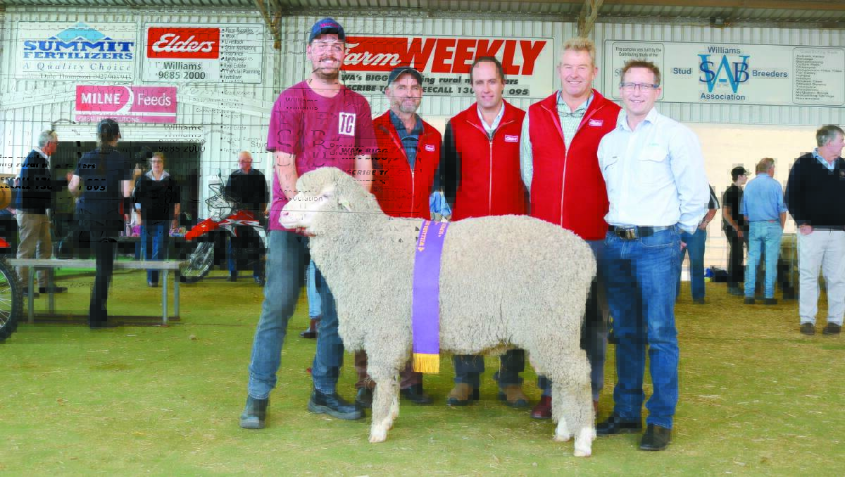  Top honours in the Merino ring at this year's Make Smoking History Williams Gateway Expo went to the Button family's Manunda stud, Tammin. With the stud's supreme exhibit held by stud co-principal Luke Button (left), were judges, Jason Griffiths, Canowie Fields stud, Gairdner, Darren Chapman, Beaufort Vale stud, Boyup Brook, Richard House, Barloo stud, Gnowangerup and AWN wool manager Greg Tilbrook, whose company sponsored the award. The ram was also sashed the champion ram of show, grand champion Poll Merino ram and champion medium wool Poll Merino ram.