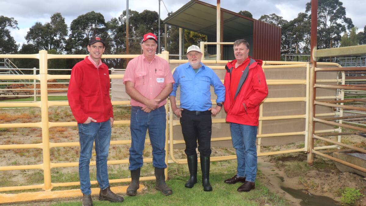 Elders South West livestock manager Michael Carrol (left), WA commercial cattle manager Michael Longford, low stress stock handling co-ordinator Grahame Rees and Elders Muchea auctioneer Graeme Curry on day one of the course.