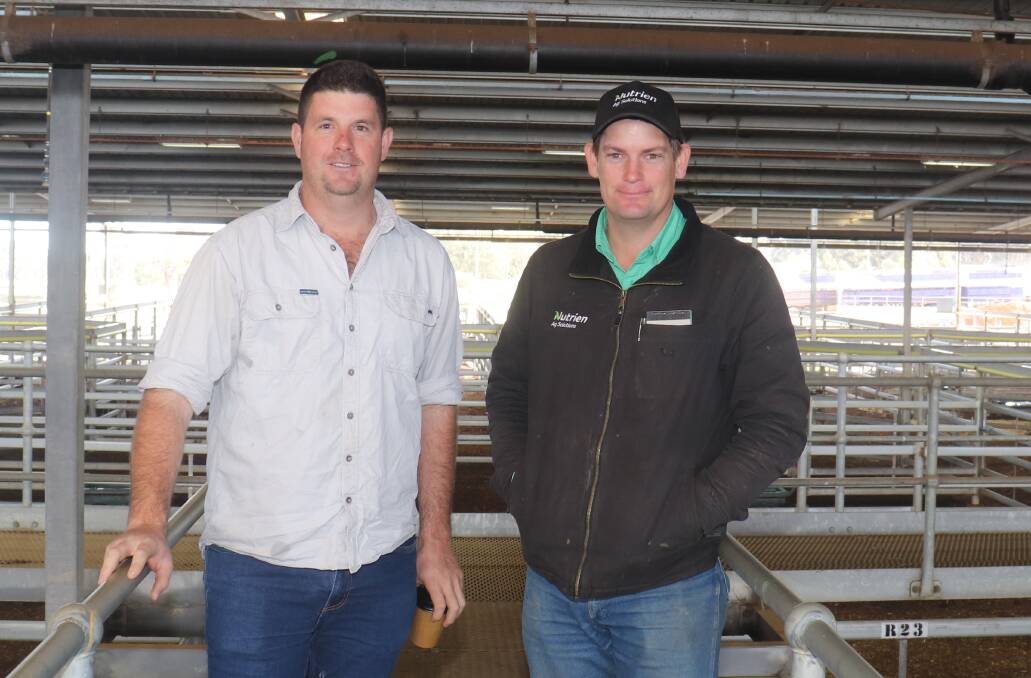 Aaron Fowler (left), Serpentine, was looking to buy and caught up with Nutrien Livestock, Boyanup saleyard co-ordinator Chris Dunlop at the Nutrien Livestock store cattle sale at the Muchea Livestock Centre last Friday. Mr Dunlop purchased Howatharra Grazing Red Angus steers and heifers for a Pinjarra order, paying to the sales 530c/kg top liveweight price.