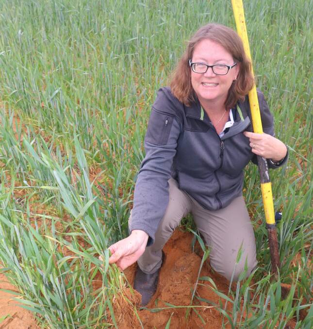 The Battens have been working with precision agriculture specialist Bindi Isbister since 2015 on their variable rate program.