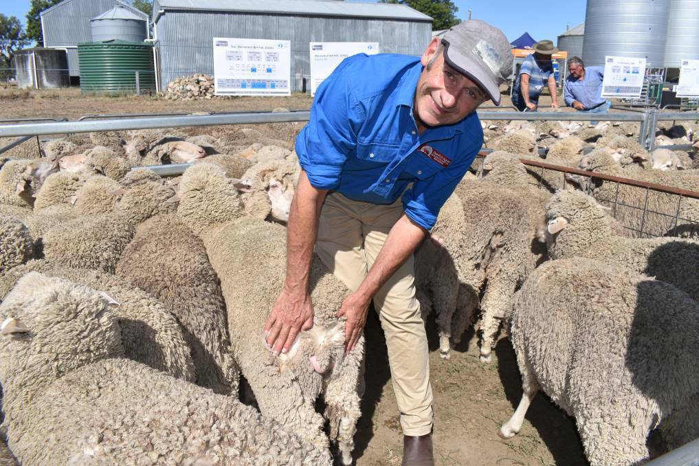 Victorian veterinarian Dr John Steinfort at this year's Balmoral Merino Sire Evaluation trial field day in February, showing the results of a freeze mulesing technique he has developed using liquid nitrogen.