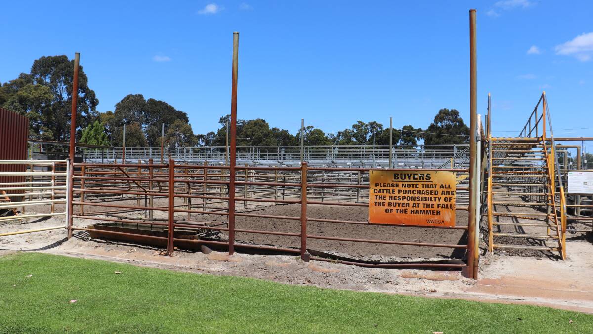 The Boyanup Saleyards sees about 65,000 head of cattle pass through each year. It is leased by the WA Livestock Salesman's Association from the Shire of Capel until 2022. The site is Crown land gifted to the Shire for the purposes of a saleyard. The State government is under pressure to upgrade the facility in line with the latest animal welfare standards and is months away from making a decision on how much it will spend to keep the yards open at the current location.