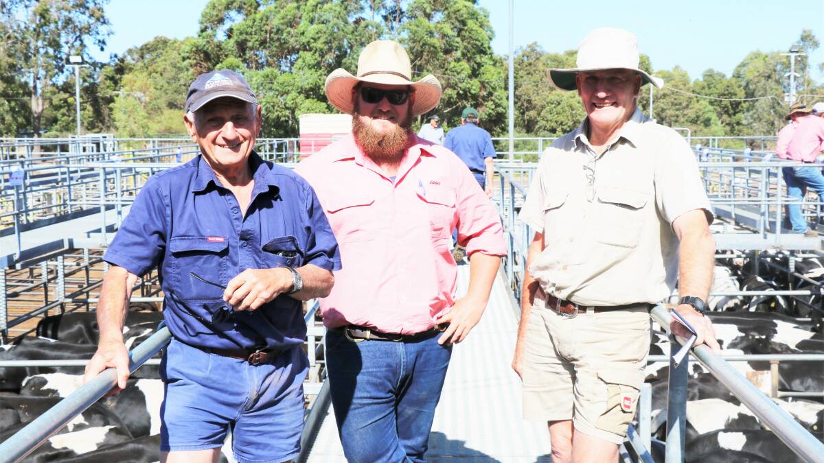 Strong finish for store cattle sale
