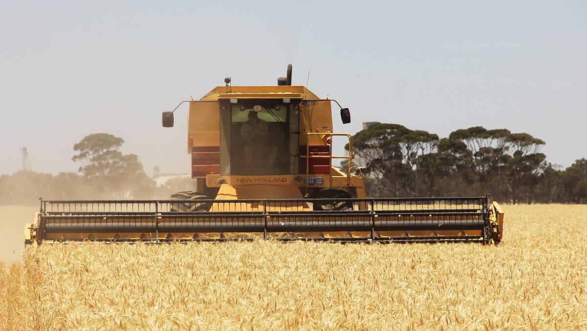  There is a wealth of information and advice on DPIRD's Season 2021 webpages to assist graingrowers to harvest heavy crops and maintain ground to protect paddocks from wind erosion.