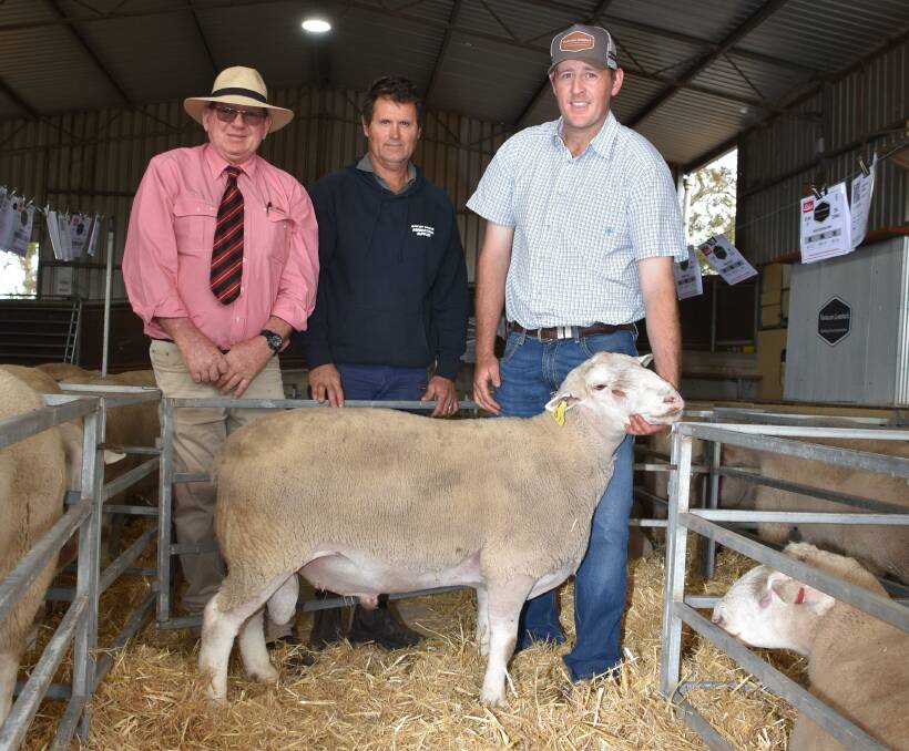 Prices hit a high of $2000 in the Venturon Charollais and White Suffolk on-property ram sale at Boyup Brook on Monday for this White Suffolk ram when it was knocked down to the Corker family, Corker Pastoral Co, Boyup Brook. With the ram were Elders stud stock prime lamb specialist Michael ONeill (left), buyer Perry Corker and Venturon Livestock co-principal Harris Thompson.