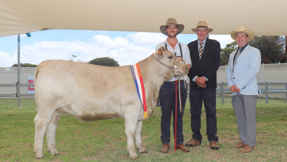 Southend Murray Grey heifer Gemstone was awarded the champion multibreed junior female and champion British breed junior female. With the heifer were Southend stud co-principal Kurt Wise (left), Katanning and judges Peter Collins, Merridale Angus stud, Tennyson, Victoria, and Rob Onley, Candy Mountain Cattle, Noorat, Victoria.