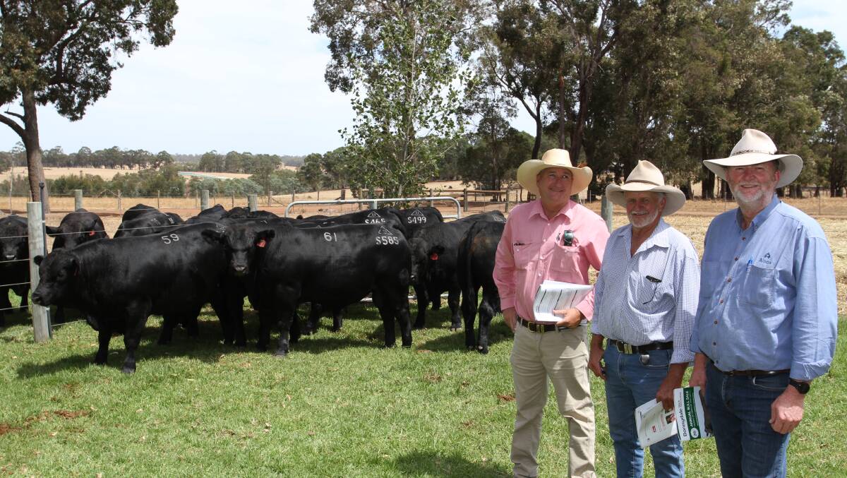 Elders, Waroona livestock representative Wade Krawczyk (left), looked through the Bonnydale bulls with Richard Gardiner and Vaughn Byrd, Alcoa Farmlands, Wagerup/Pinjarra. Alcoa Farmlands purchased four bulls at the sale (two Black Simmental and two SimAngus) costing from $7000 to $14,000.