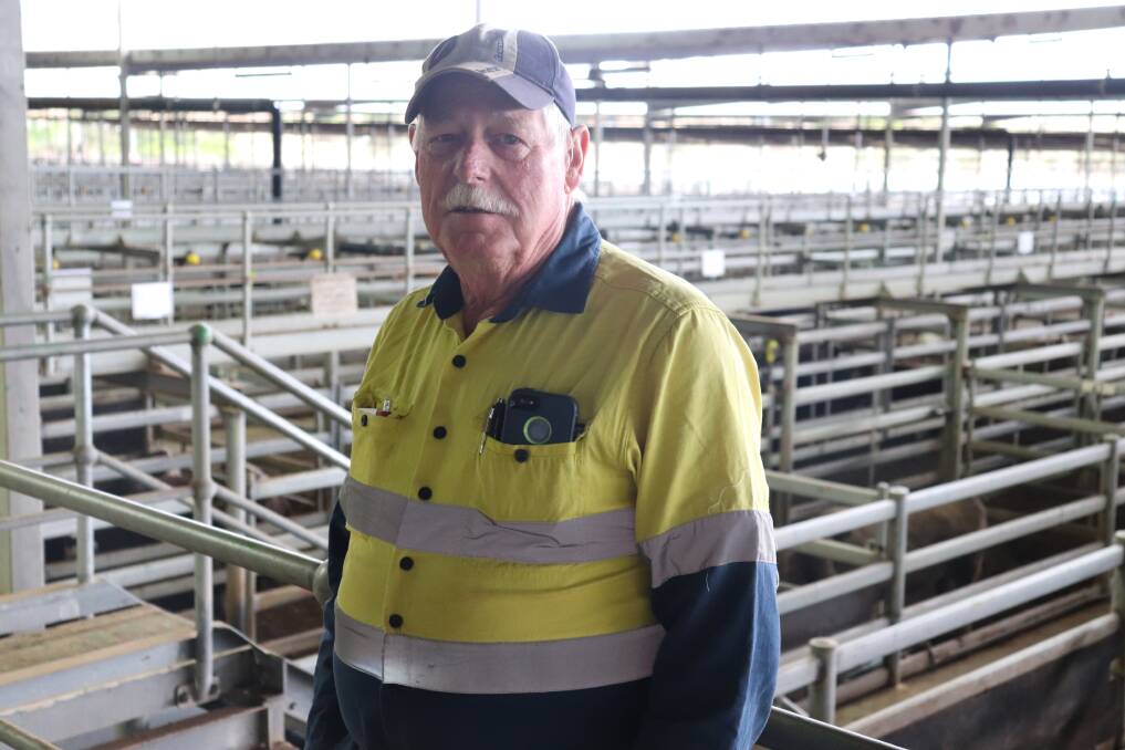 Frank Schubert, 74, from Bindoon, was at the Muchea Livestock Centre on Monday and watched his line of 28 calves sell to prices similar to last week.