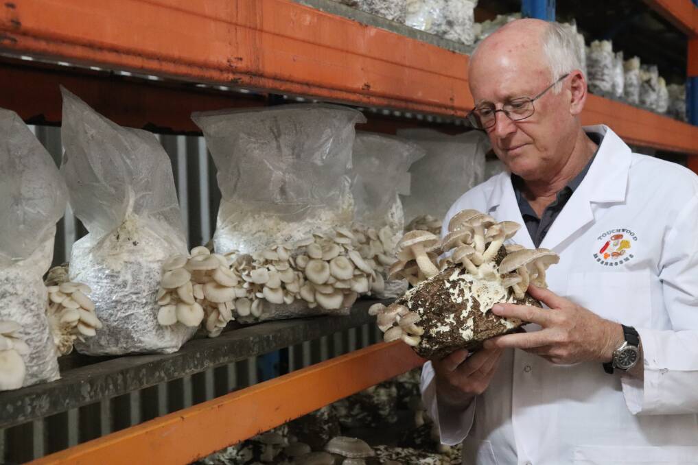 Owner and self proclaimed "fun-guy" Graham Upson inspecting the growth of his mushrooms near Denmark.
