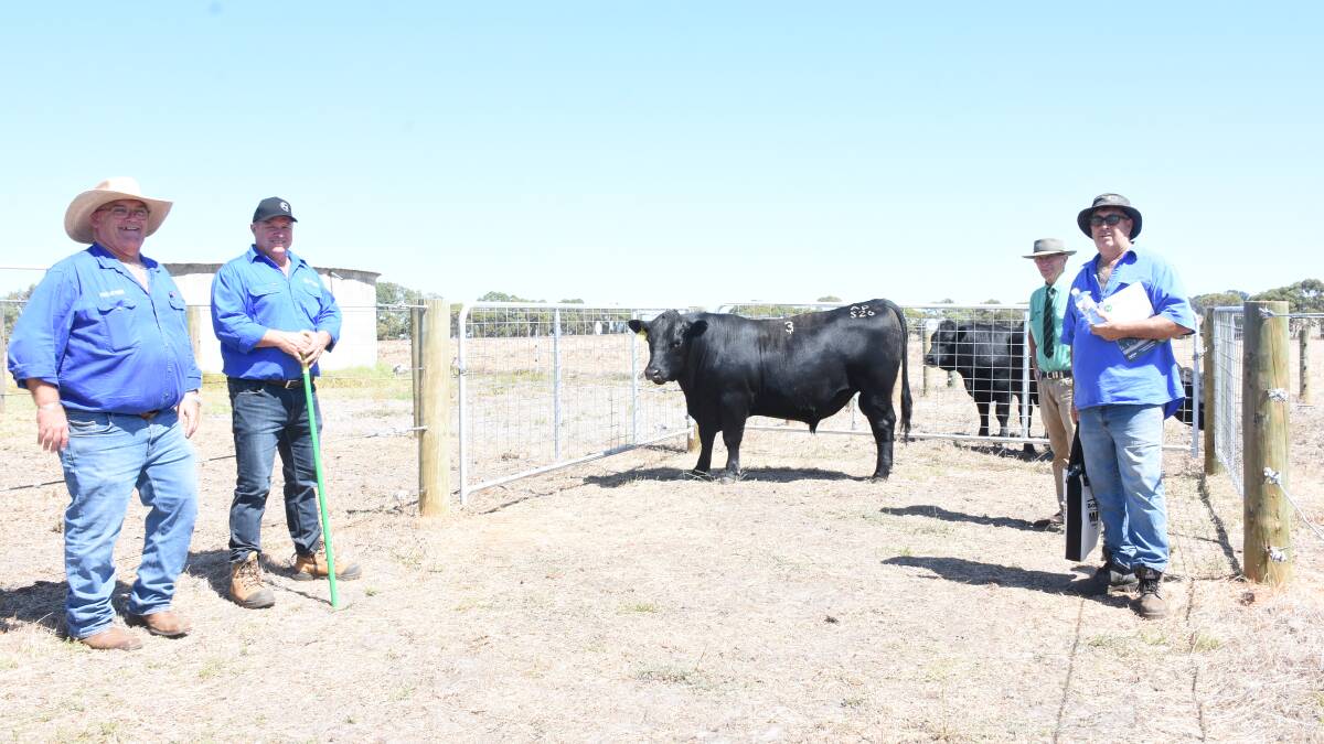 Prices hit a high of $16,500 for this bull at last weeks Allegria Park Angus on-property bull sale at Esperance. With the bull were top price prize sponsor Ben Fletcher (left), Zoetis, Allegria Park co-principal Andrew Kuss, Nutrien Livestock auctioneer Neil Brindley and top price buyer Wes Graham, Esperance.