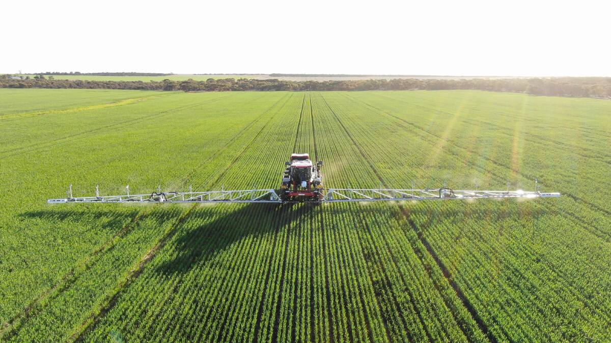 Green-on-green spot spraying in action with the Bilberry technology on a Miller sprayer pictured last season.