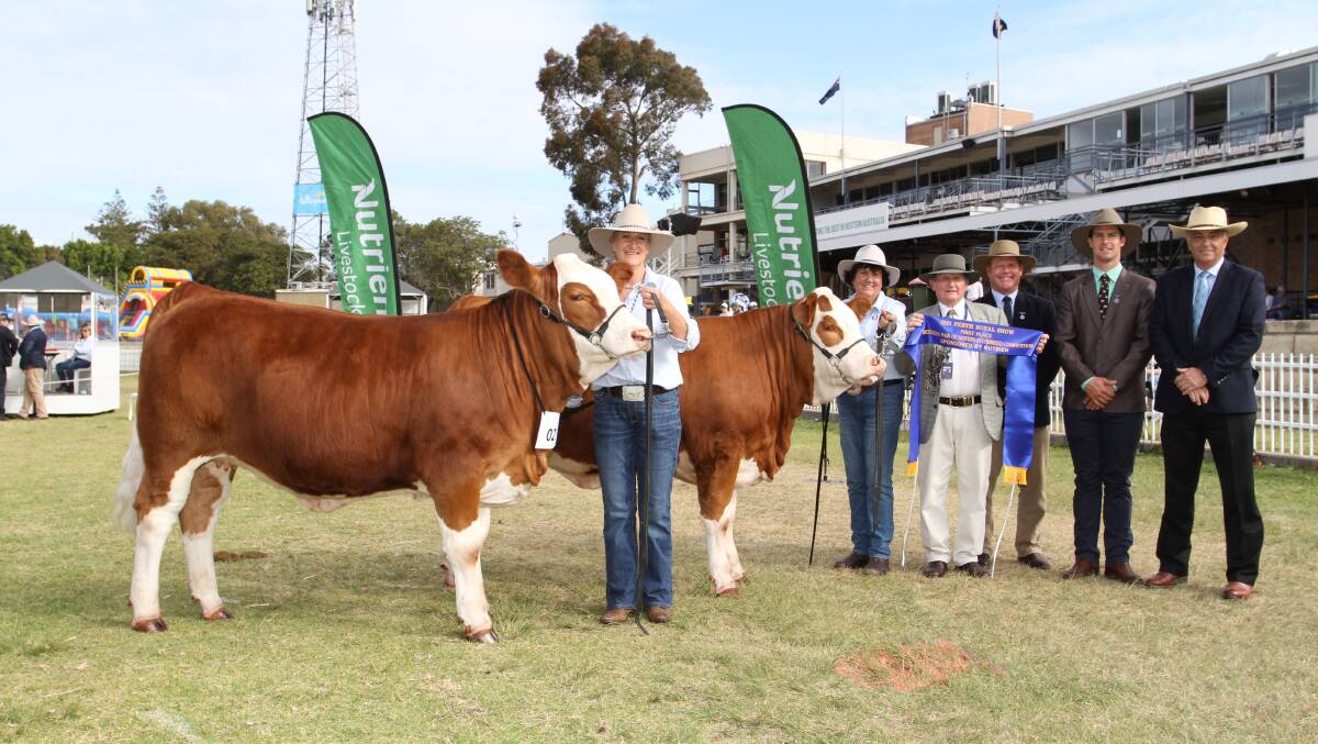 Bandeeka Simmental stud connections Sarsha Wetherell (left) and Loreen Kitchen, Elgin, judges Charles and Peter Cowcher, Willandra Simmental and Red Angus studs, Williams and Kurt Wise, Southend Murray Grey stud, Woodanilling and Nutrien Livestock WA manager Leon Giglia, representing award sponsor Nutrien Ag Solutions with the interbreed breeders pair of heifers exhibited by the Bandeeka stud.