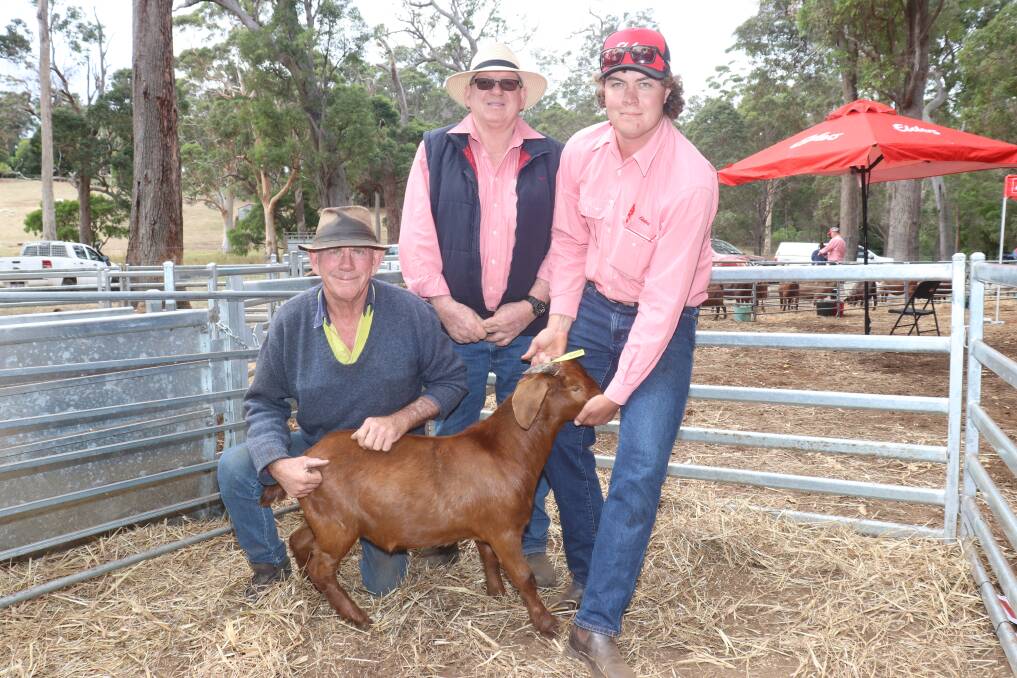 With the top-priced $1250 buck, offered by the Basildene Reds Red Boer stud, Arthur River, is stud co-principal David Kain (left), Elders stud stock representative Michael ONeill and buyer, Zac Mostert, ZL Mostert, Redmond.