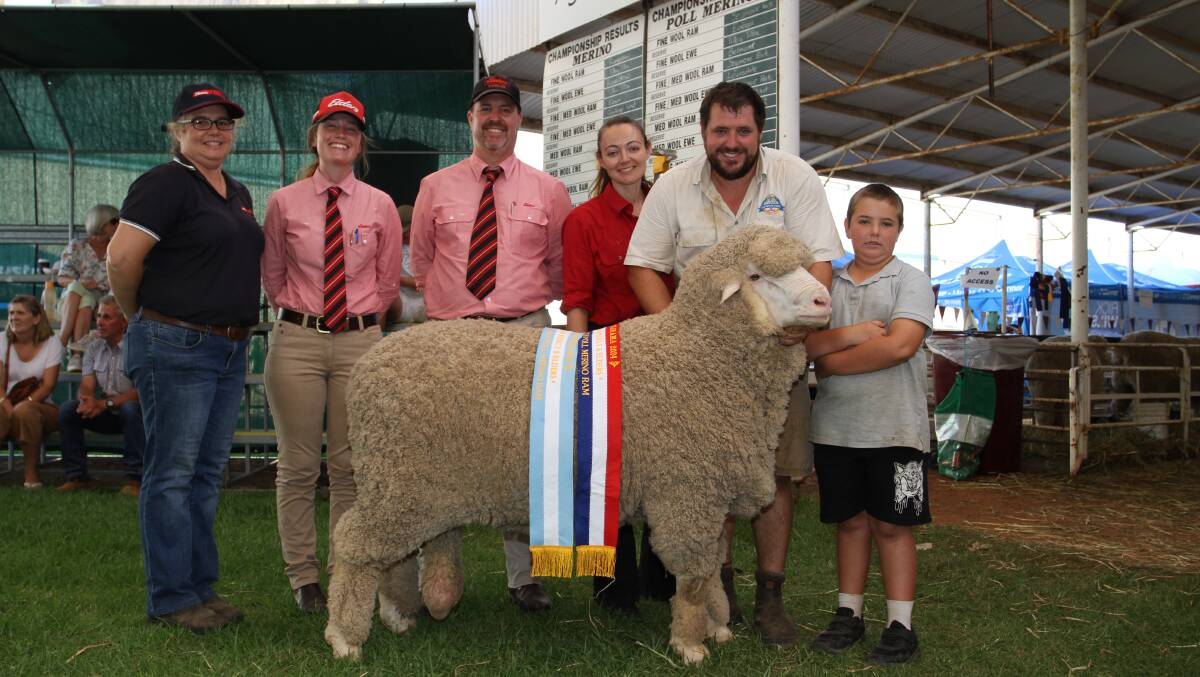 With the reserve grand champion Poll Merino ram and champion medium wool Poll Merino ram exhibited by the Seymour Park stud, Highbury, were sponsors Jodie Rintoul (left), Farm Weekly, Lauren Rayner and Nathan King, Elders stud stock and Sarah and Clinton Blight, Seymour Park stud and their son Nathan.