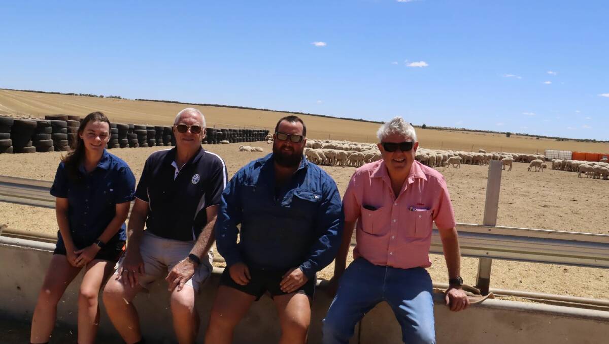 WAMMCO buyer Wayne Radford (second left), retired last month and before finishing up he headed to the the McNamara family's feedlot at Wongan Hills where he caught up with feedlot manager Maddie West (left), Bryce McNamara and Elders, Wongan Hills agent Jeff Brennan to look over the lambs the enterprise had in the feedlot destined for WAMMCO.