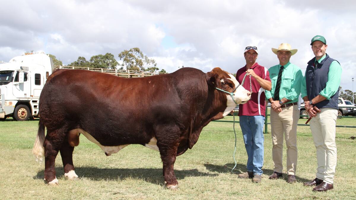 With the sale's $15,000 second top-priced bull Mubarn Pablo's Pride P10 (PP) (ET) were Mubarn stud principal Paul Tuckey (left), Pinjarra, Nutrien Livestock regional manager Leon Giglia and Nutrien Livestock auctioneer Michael Altus. The bull was purchased by Audrey Weightman, Topweight Simmental stud, Margaret River, and set a new stud record top-price for the Mubarn stud.