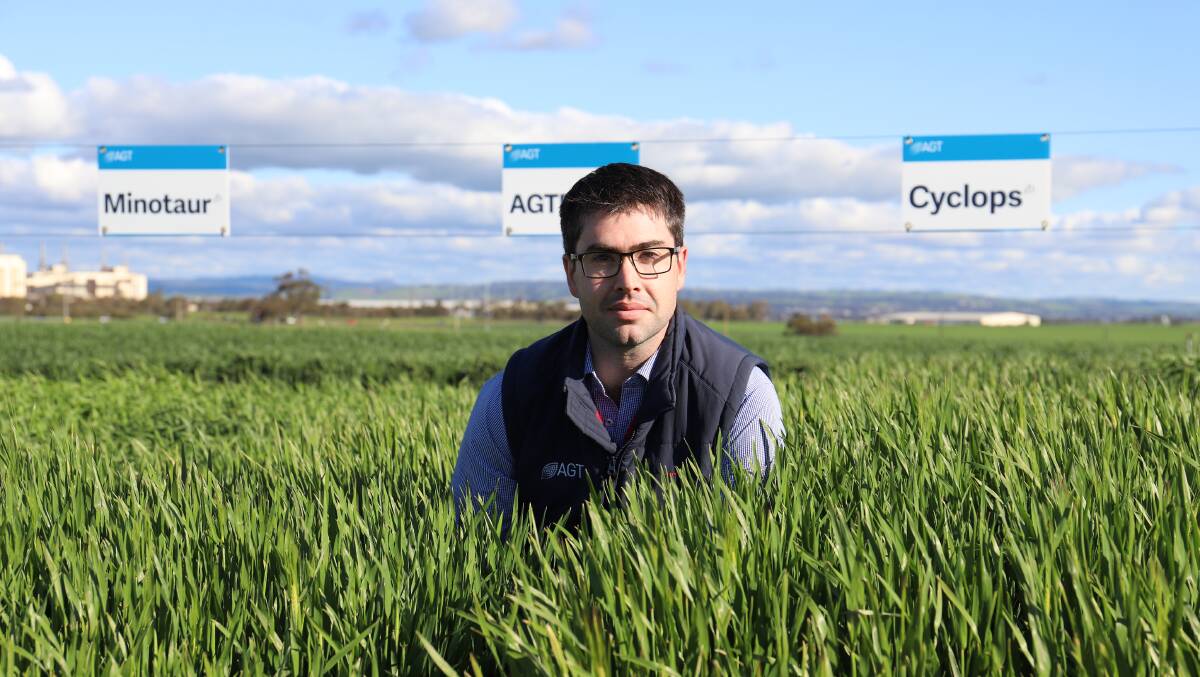 AGT barley breeder Paul Telfer said the two new barley varieties would deliver better yields and improved reliability for growers.