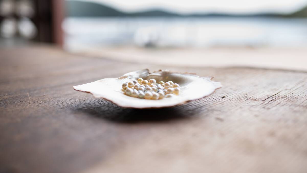 Pearls of Australia focuses on the production of pearls, jewellery, food and experiences which for the first time offers consumers a range of values and knowledge about its pearls which they could never access before.