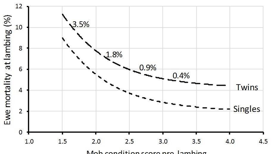 Relationship between mob average ewe Condition Score (CS) lambing and mortality for single and twin bearing ewes. Values in the body of the graph are the change in mortality if ewe CS changes by 0.5. Source: Value of the Ewe economic modelling 