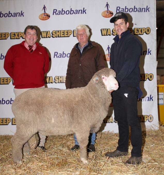 With the Willemenup March shorn Poll Merino ram that sold to the Mardo Well stud, Dandaragan, for $13,000 were Elders stud stock manager Tim Spicer (left), buyer Gaden Rose, Mardo Well stud and Fraser House, Willemenup stud, Gnowangerup.