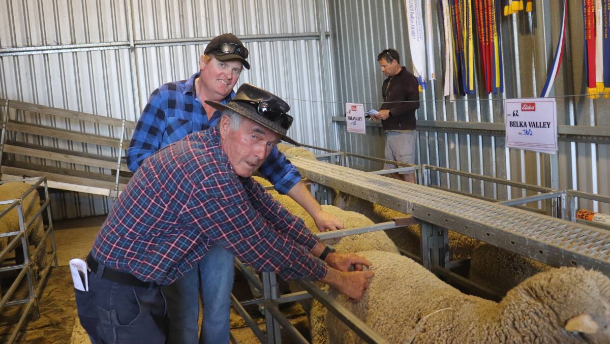  Sam Teasdale (left), Merredin and Gavin Auld, Muntadgin inspecting the Belka Valley rams prior to the sale. Mr Auld purchased a total of five rams.