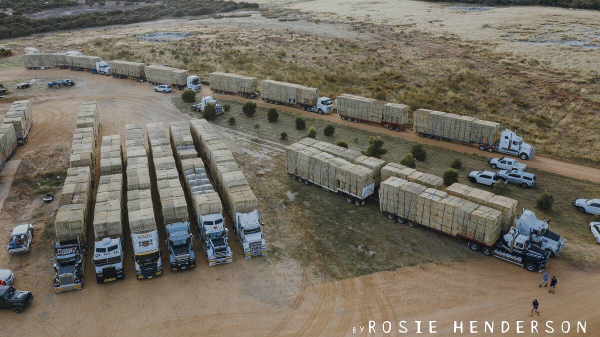 Fifteen road trains delivered about 1260 large square bales to drought-stricken pastoralists in the Goldfields, Murchison and Gascoyne regions through Farmers Across Borders (FAB) on the weekend. Photographs by Rosie Henderson, Esperance.
