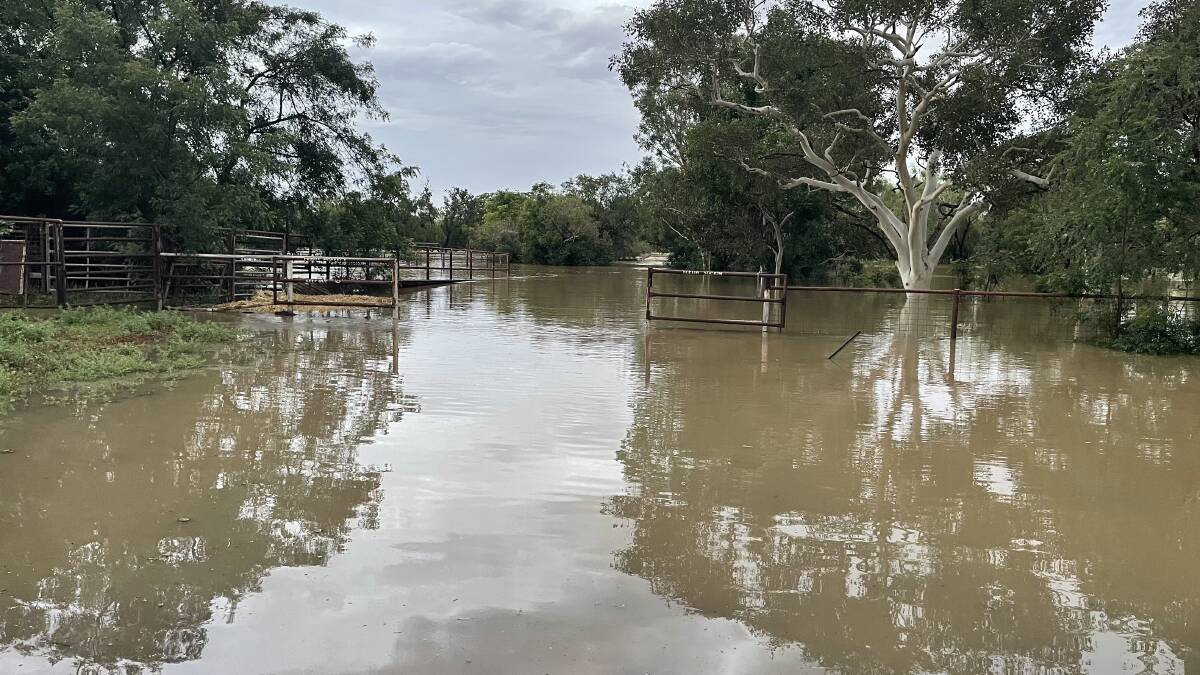 Widespread flooding in the Kimberley region continues to be a challenge for pastoralists. Picture supplied