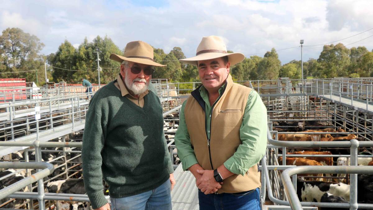 Ian Staples (left), Harvey, pictured on the rail with Jamie Abbs, Landmark Boyup Brook, before the first of Landmark's June Special Cattle Sales at Boyanup last Friday. Mr Abbs bought numerous pens for clients at the sale.