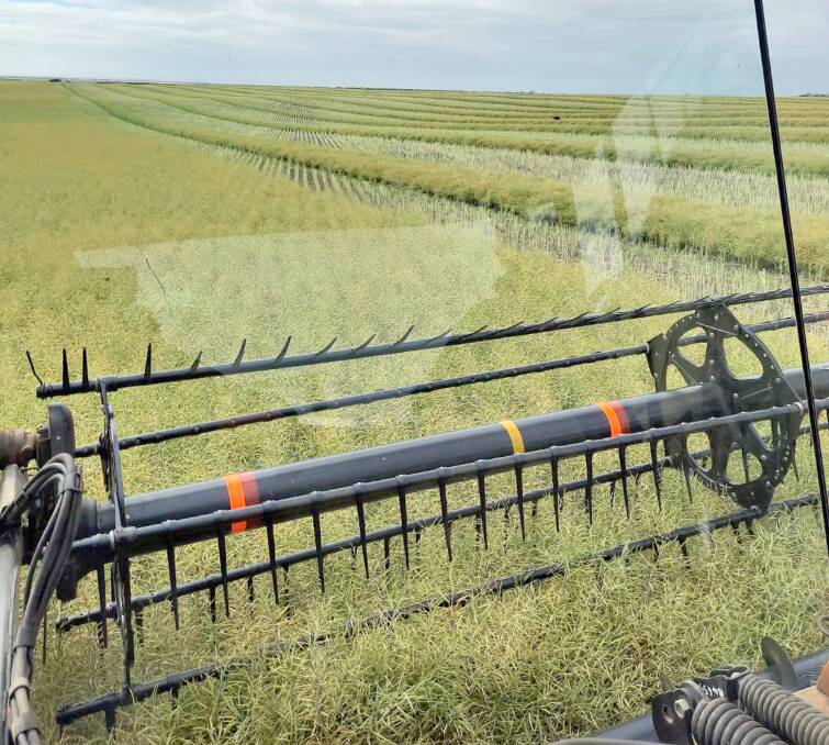 Scaddan grower Tom Curnow, who took this photograh, started swathing canola last Friday. He said the season had been going well so far, but that some later crops could do with a little more rain.