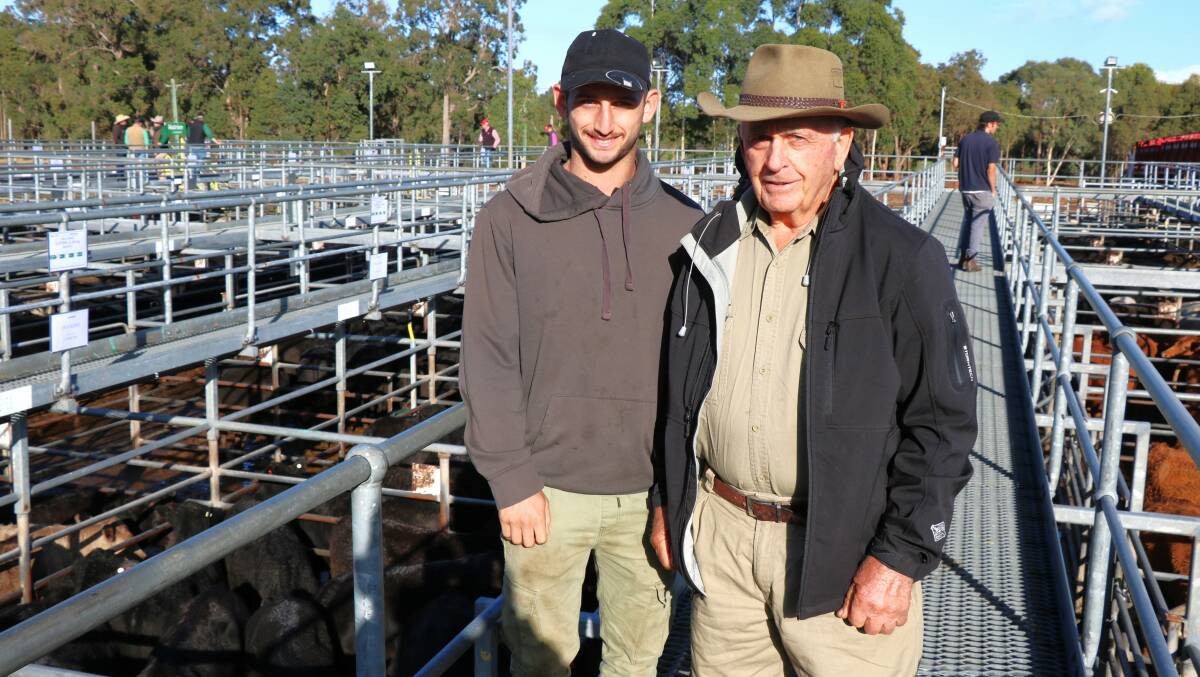 Jonathon Ietto (left), with his grandfather John Ietto, Wokalup, at the Nutrien Livestock store cattle sale at Boyanup last Friday, left their buying order with their stock agent to fill.