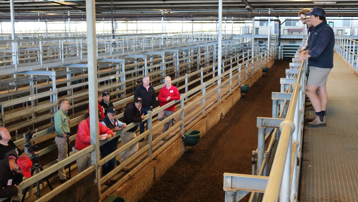 A mock stock auction was staged and filmed, giving young auctioneers a chance to practice and improve their skills, take feedback and watch back their own tapes to find further areas for improvement.