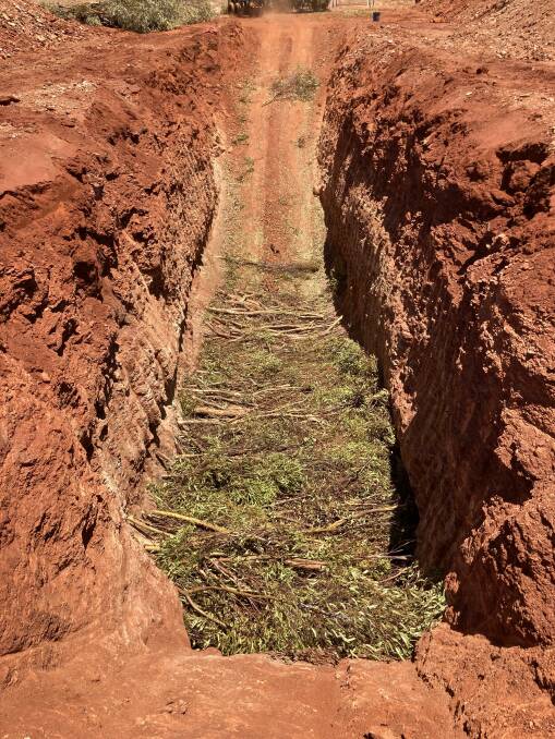 InterEarth trial burial site that captures carbon stored in native Australian trees.