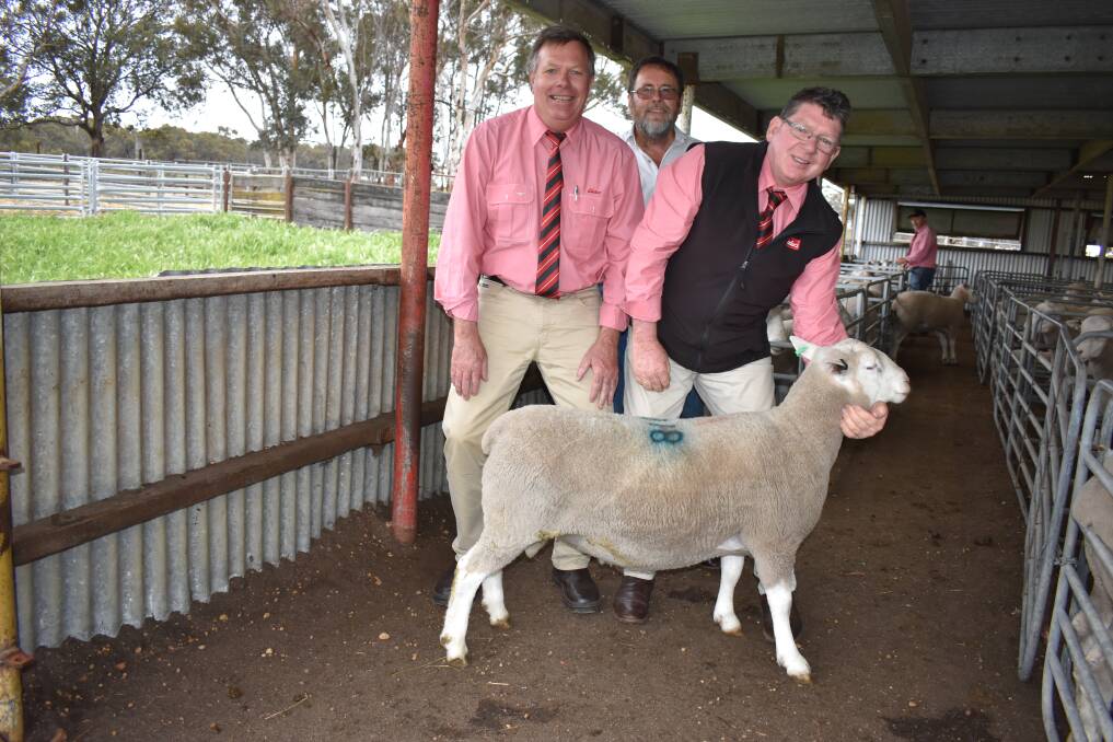 Elders auctioneer Graeme Curry (left), Mount Ronan principal Guy Bowen and Elders British Breed stud stock specialist Michael O'Neill, with the $9200 top-priced Maternal Composite ram, purchased by Elders Albany on behalf of clients Al and Kathy Lubcke, Manpeaks, via AuctionsPlus.