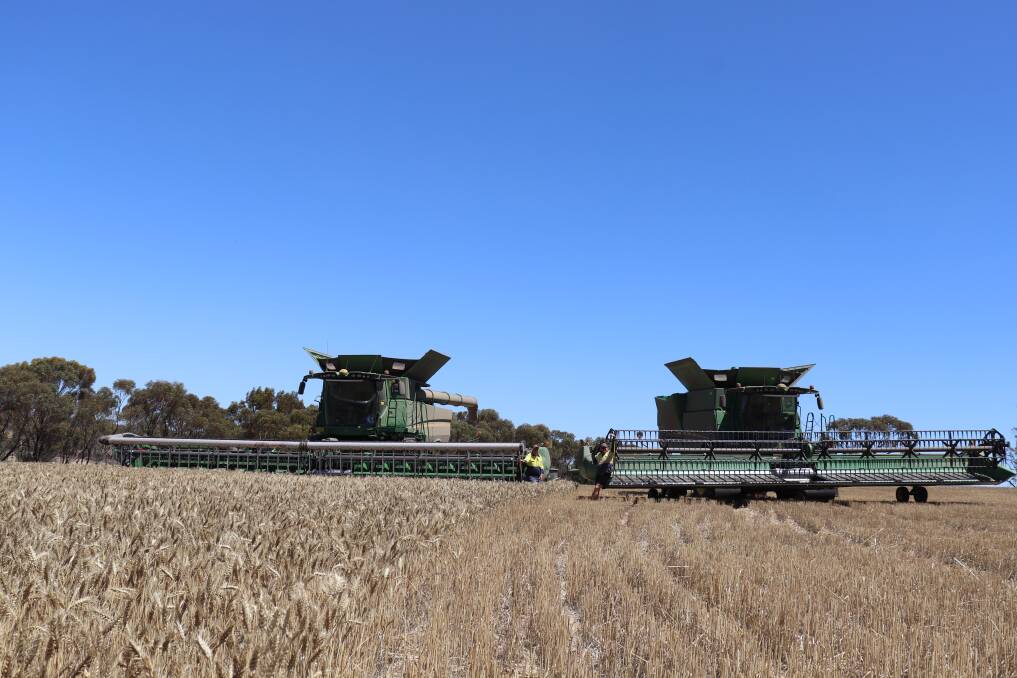 Lyndon Bird and Simon Haywood are both John Deere advocates and drive the green headers each harvest.
