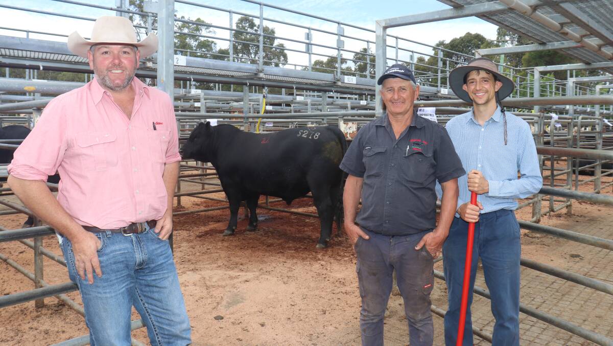 Elders Manjimup and Pemberton representative Brad McDonnell (left), with the top-priced bull purchased by Anthony McDonald, Kuloomba Farming, Esperance, who paid $17,000. With Mr McDonnell were Gandy Angus stud principal Kim Gandy and Steven Gandy.