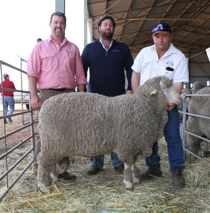  Seymour Park stud and A Saunders & Co classer Nathan King (left), Elders stud stock, buyer Murray Saunders, A Saunders & Co, Highbury and Seymour Park stud co-principal Michael Blight, Highbury, with the sale's $9500 second top-priced ram.